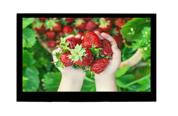 LCD液晶屏的全景解析：技術原理、應用及未來發展